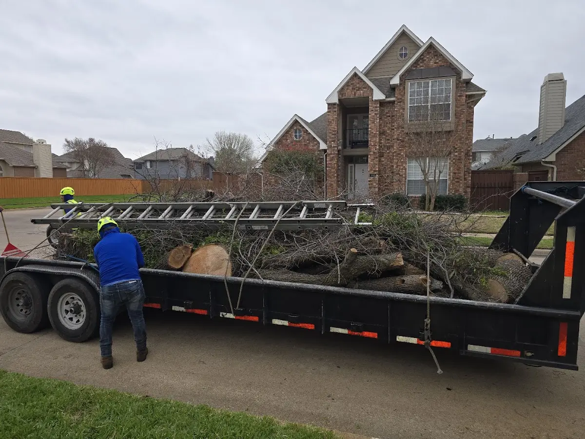 Expert Tree Removal with proper safety equipment in Lovejoy